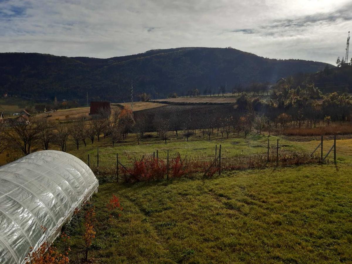 Brvnare Stojic Kokin Brod Exterior foto